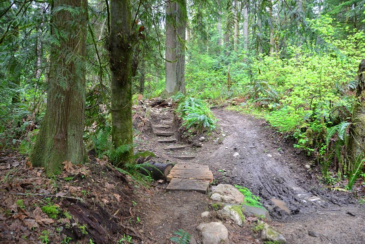 Soaring Eagle Regional Park | Jessie Hey / photo modified