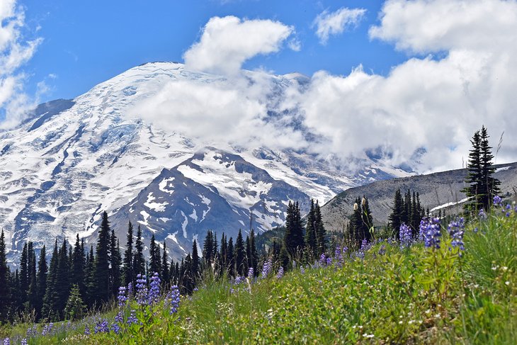 16 Top Rated Day Trips From Seattle Wa Planetware 16 Top Rated Day Trips From Seattle Wa Planetware