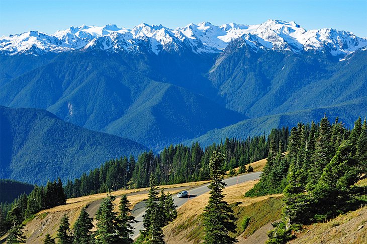 Hurricane Ridge