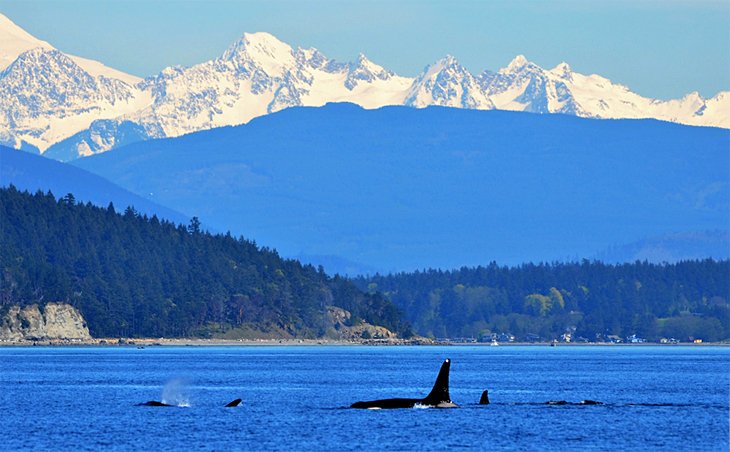 16 Top Rated Day Trips From Seattle Wa Planetware