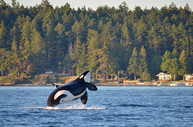 San Juan Islands