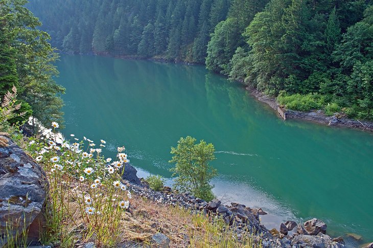 Skagit River