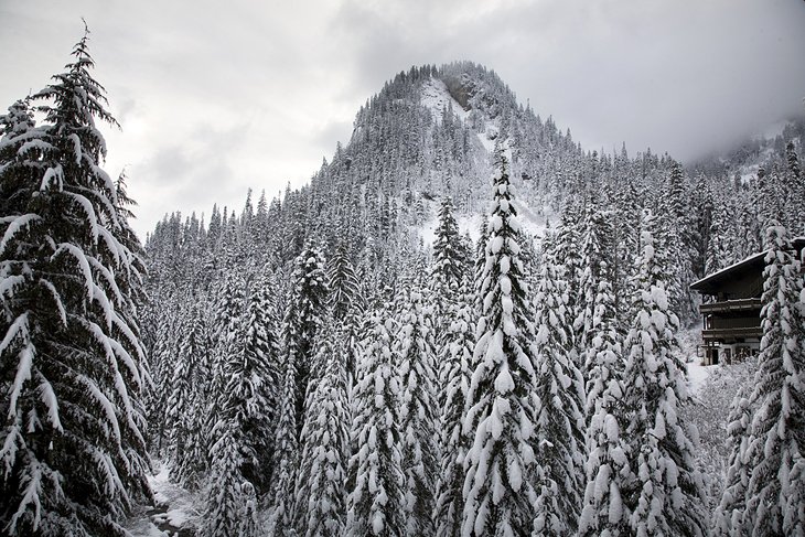 Alpental Ski Resort