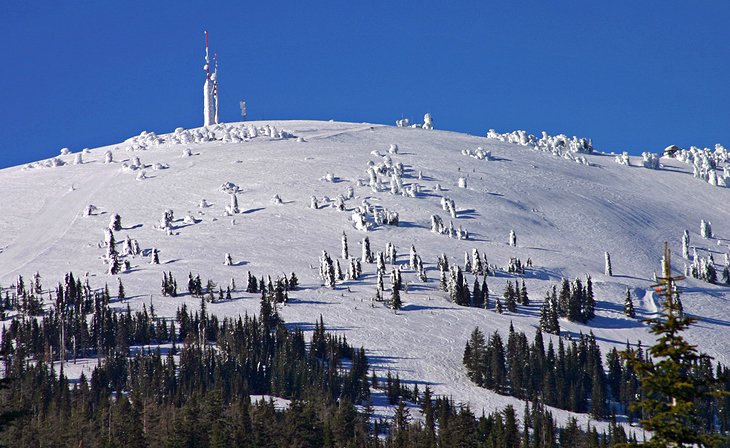 Mount Spokane Ski & Snowboard Park