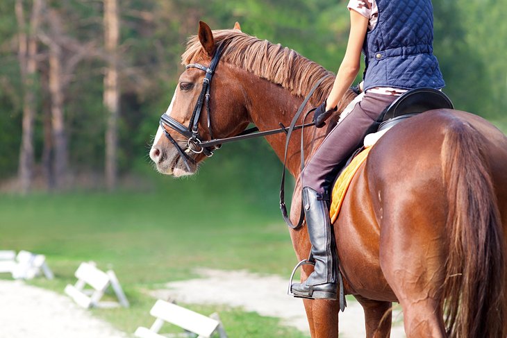 Horseback Riding