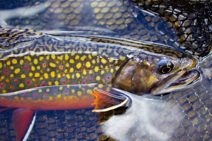 13 lagos de pesca mejor valorados en Wisconsin