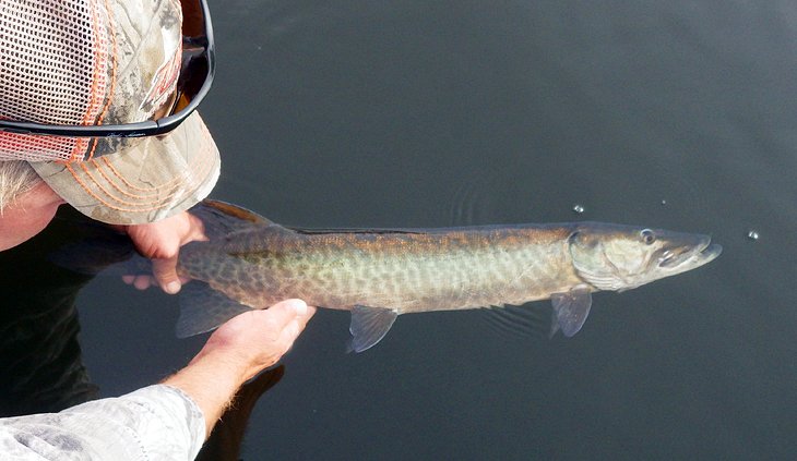 13 lagos de pesca mejor valorados en Wisconsin