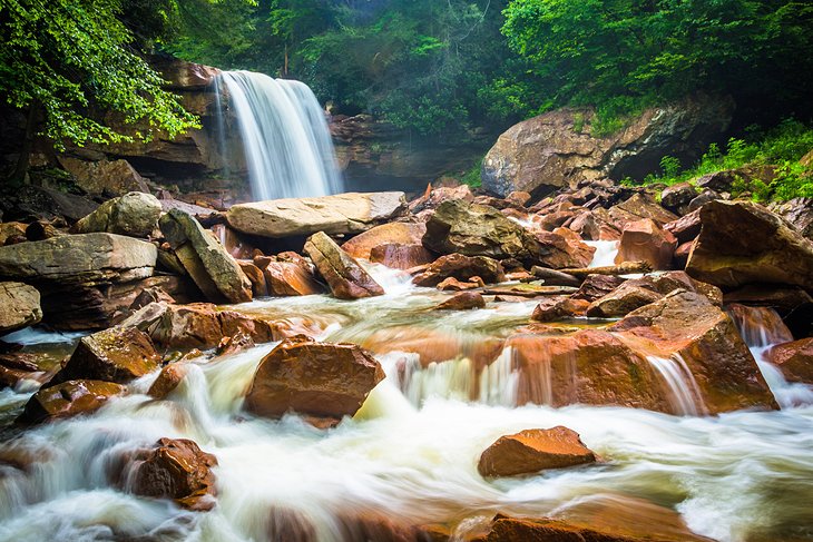 Monongahela National Forest