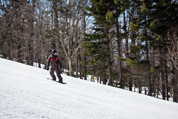 Snowshoe Mountain 