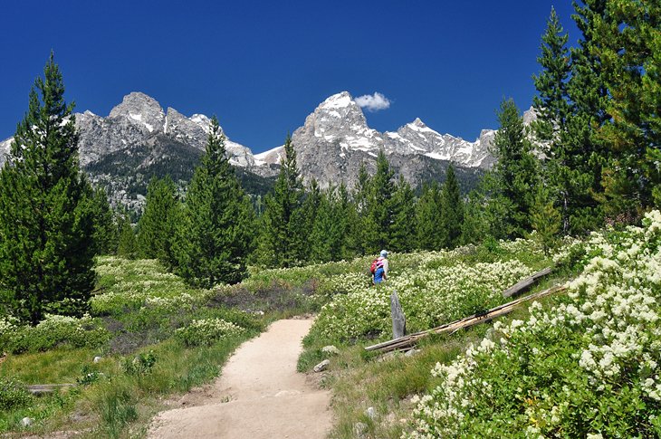 Taggart Lake - Bradley Lake Loop