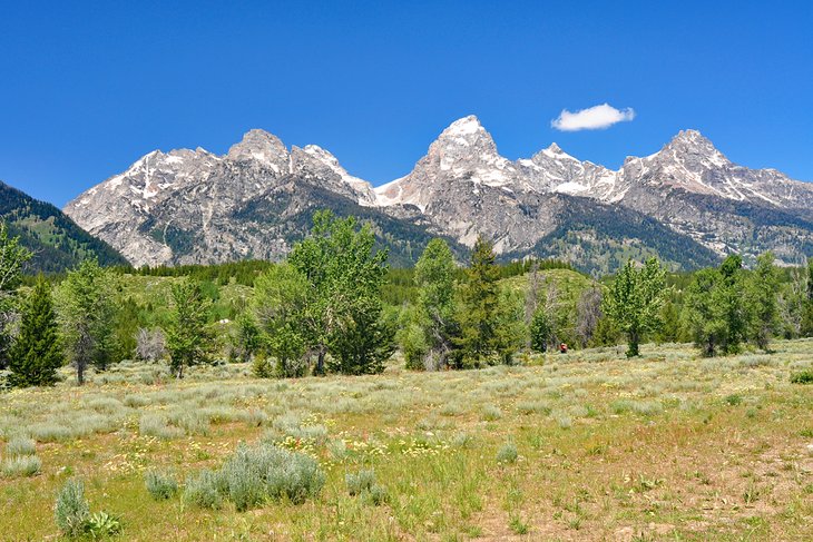 Las 12 mejores atracciones y cosas para hacer en Jackson Hole, WY