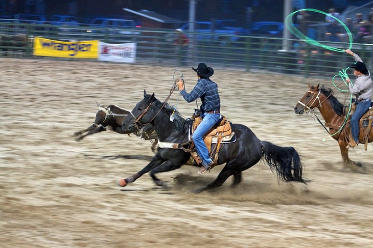 Jackson Hole Rodeo