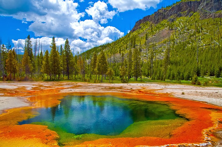 Visiting Yellowstone National Park: 12 Attractions, Tips & Tours | PlanetWare