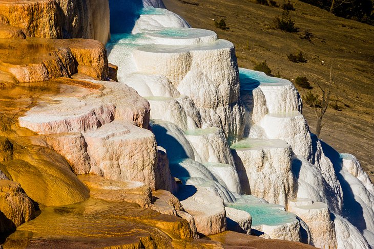 Mammoth Hot Springs & Minerva Terrace