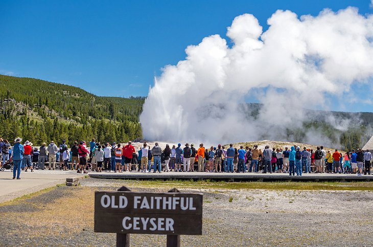 Old Faithful