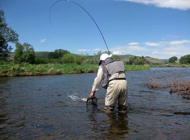 11 destinos de pesca con mosca mejor calificados en Wyoming