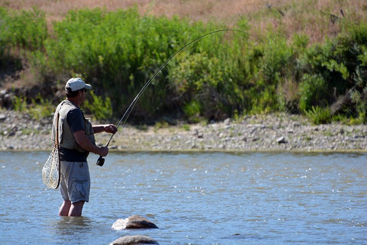 11 destinos de pesca con mosca mejor calificados en Wyoming