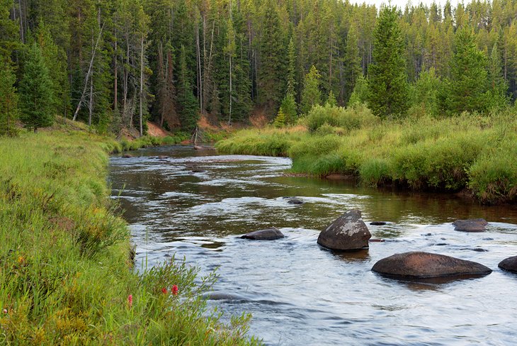 11 destinos de pesca con mosca mejor calificados en Wyoming