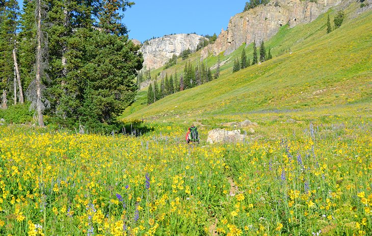 Granite Canyon & Marion Lake