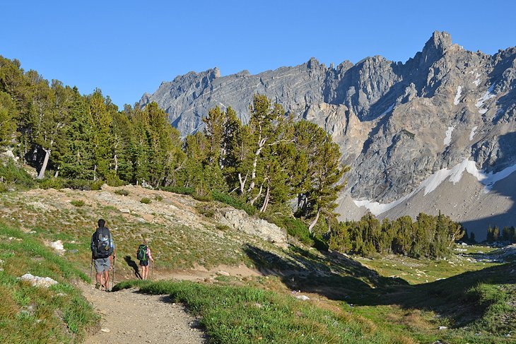 Paintbrush Canyon Camping Zones