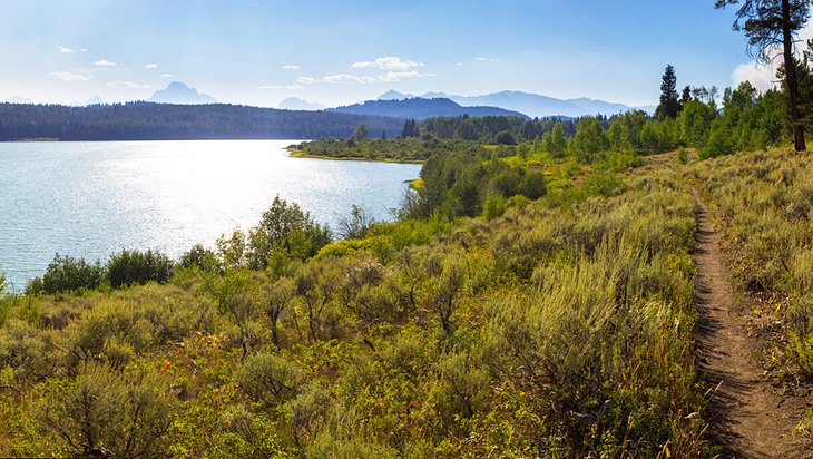 Two Ocean Lake Loop