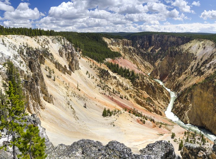 View over the Grand Canyon of the Yellowstone River near the Canyon Campground