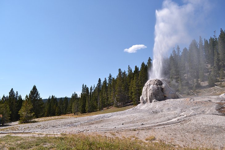 Lone Star Geyser