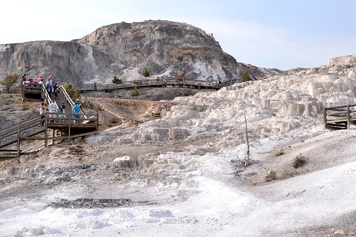 Mammoth Hot Springs: Upper and Lower Terrace Boardwalks