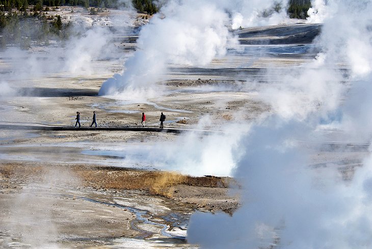 9 campamentos mejor calificados en el Parque Nacional de Yellowstone