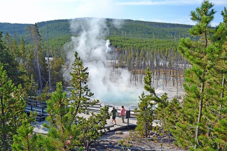 Norris Geyser Basin Boardwalk