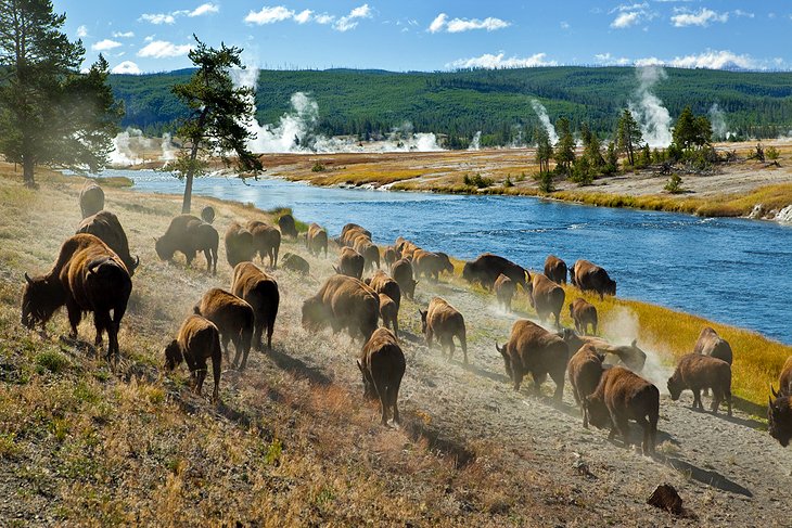 Dónde hospedarse cerca de Yellowstone NP: mejores áreas y hoteles