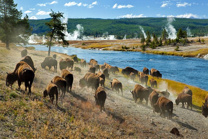 Dónde hospedarse cerca de Yellowstone NP: mejores áreas y hoteles Dónde hospedarse cerca de Yellowstone NP: mejores áreas y hoteles