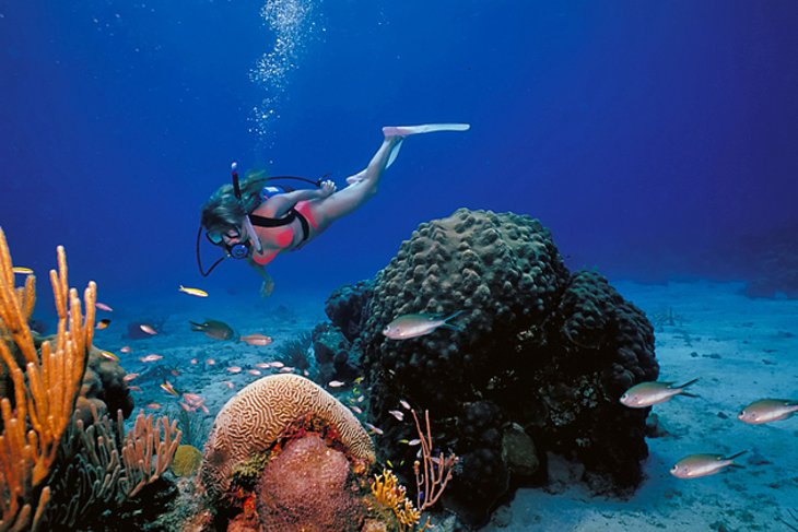 Buck Island Reef National Monument, St. Croix