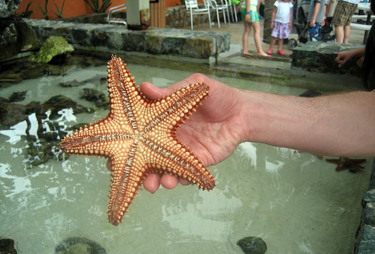 Coral World Ocean Park, St. Thomas