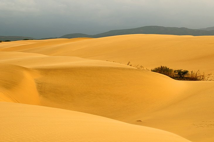 Parque Nacional Los Médanos de Coro (Medanos de Coro National Park)