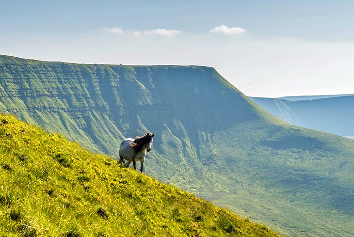 Brecon Beacons National Park