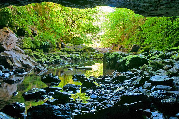 Dan yr Ogof and the Showcase Caves