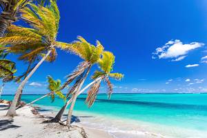 Anguilla's Best Beaches