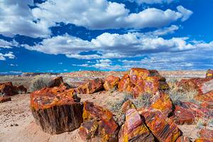 Arizona's Best National Parks & Monuments