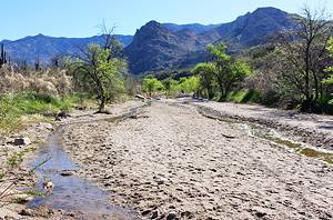 Tucson's Top Hiking Trails