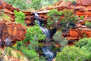 Exploring Watarrka National Park (Kings Canyon)