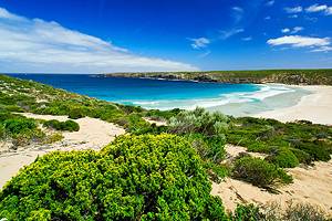 12 Top-Rated Attractions & Things to Do on Kangaroo Island