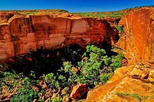 Australia's Top Hikes