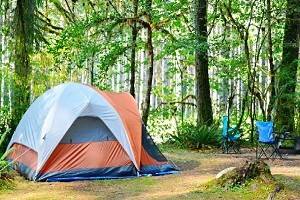 Best Campgrounds in Olympic National Park
