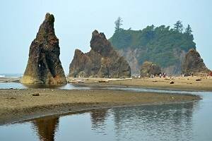 14 Top-Rated Hiking Trails in Olympic National Park