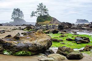 10 Top-Rated Hiking Trails on Vancouver Island, BC