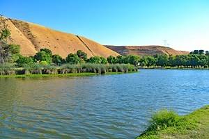 12 Top-Rated Things to Do in Bakersfield, CA