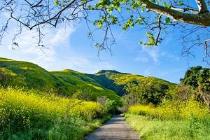 Best Hiking Trails in Southern California