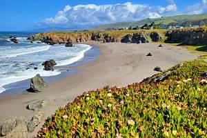 Bodega Bay's Best Beaches