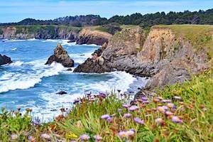 15 Top-Rated Things to Do in Fort Bragg, CA